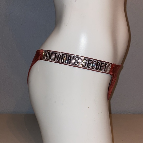 Victoria's Secret Lace Mesh Leopard Print Sports Bra Rust XL NWT Rare Sold Out - Picture 16 of 16